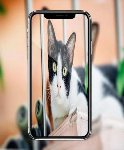 HD Camera Pro - Hd Photo For iphone X screenshot 3
