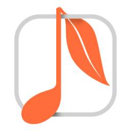 Music Player 1.0