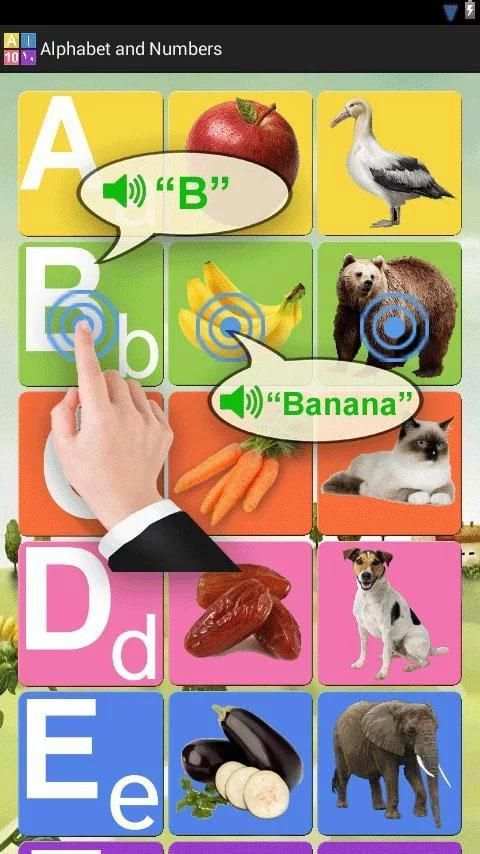 Alphabet and numbers скриншот 4