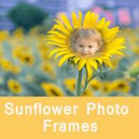 Latest Sunflower Photo Frames For Artistic Photos