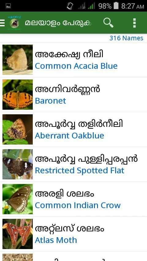 Poompatta screenshot 6