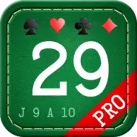 29 Card Game Pro