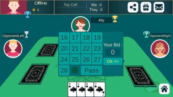 29 Card Game Pro 6 تصوير الشاشة