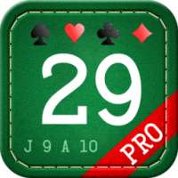 29 Card Game Pro