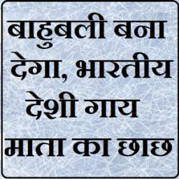 बाहुबली बना देगा, भारतीय देसी गाय माता का छाछ