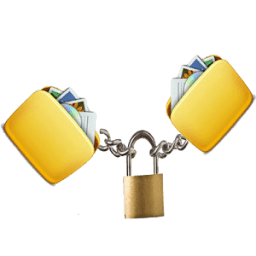 ikon Lock Video and Audio Files Photos SD Card Memory