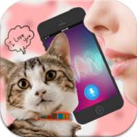 Cat Translator Simulator