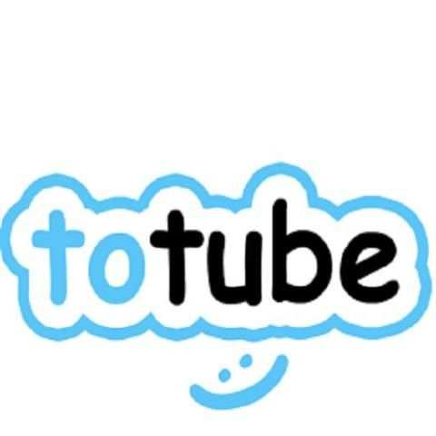 Totube Müzik indirme Programı скриншот 1