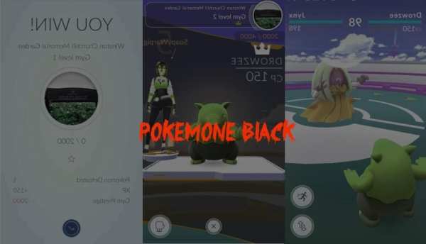Pro Pokemon Black tIPs скриншот 1