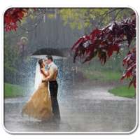 Rain Photo Frame on 9Apps