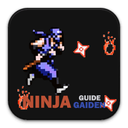 ikon Guide Ninja Gaiden