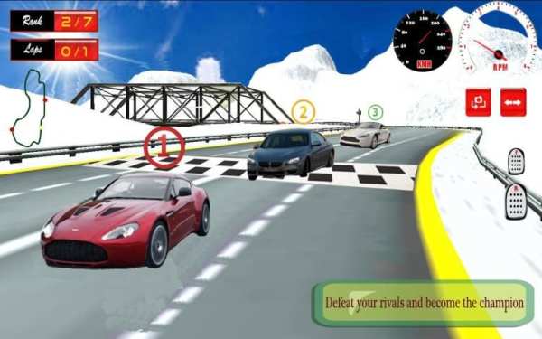 Turbo Car Rally Racing 3D скриншот 1