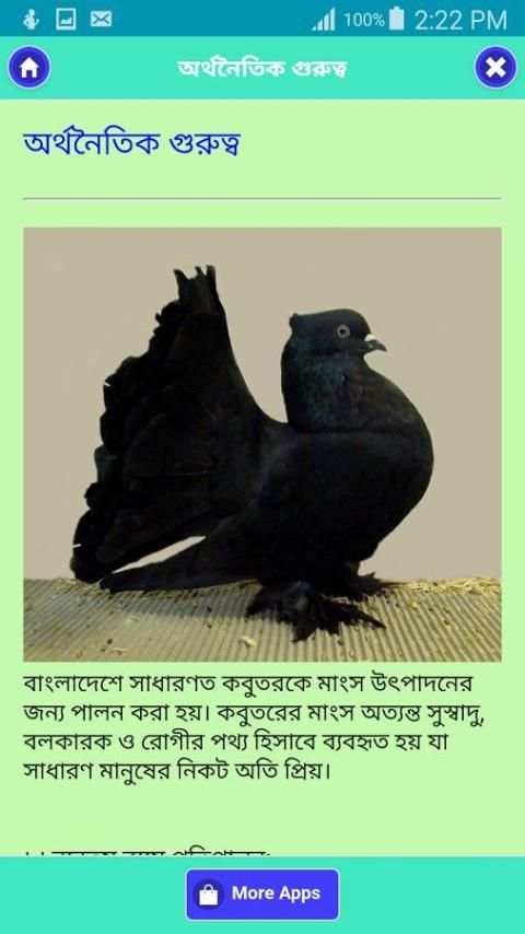 কবুতর পালন পদ্ধতি скриншот 2