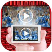 Live Cricket Video Simulator
