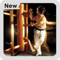 Wing Chun Training