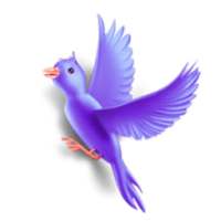 General Knowledge.Pro (world) on 9Apps