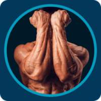 Arm Workout Gym Challenge on 9Apps