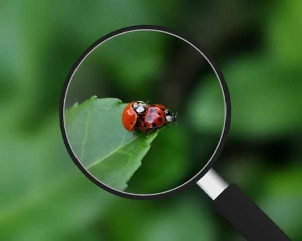 Telescope Camera Zoom HD ++ screenshot 1