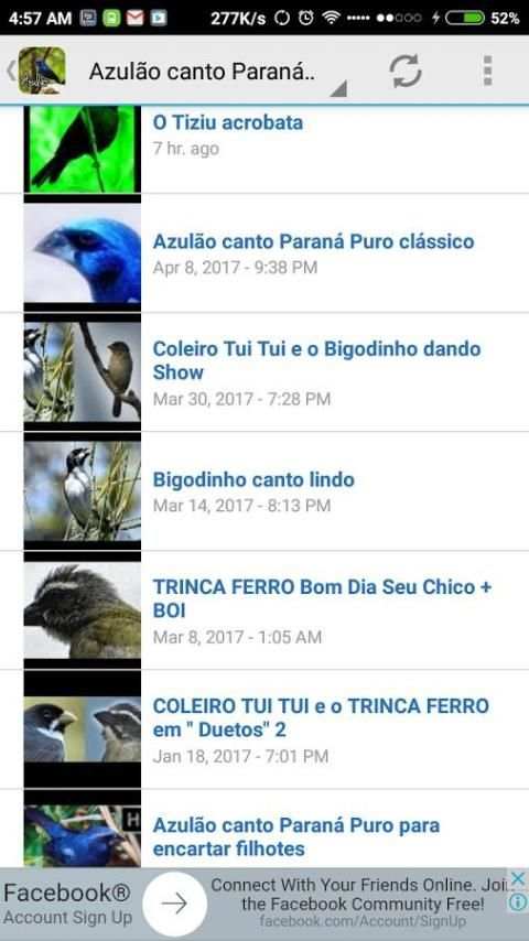 Baixar canto dopássaro azulão screenshot 4