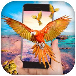 ikon Parrot in Phone Prank