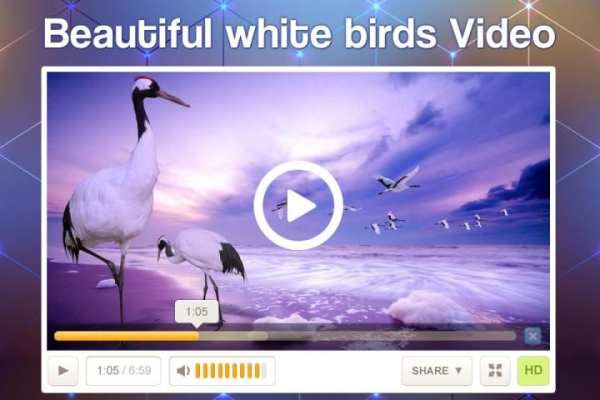 Full HD Video Player स्क्रीनशॉट 5