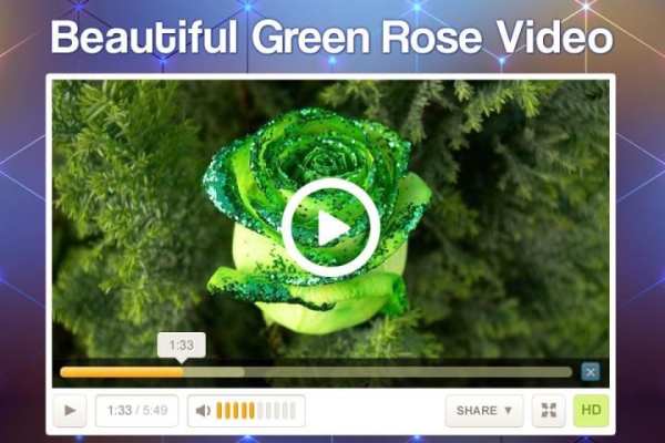 Full HD Video Player скриншот 1