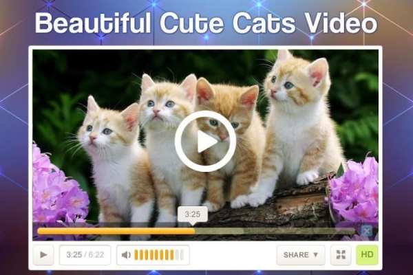Full HD Video Player screenshot 3