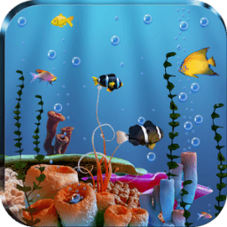 Live Fish Feed Wallpaper أيقونة