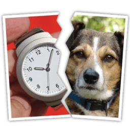 2 Pics 1 Phrase Word Game أيقونة