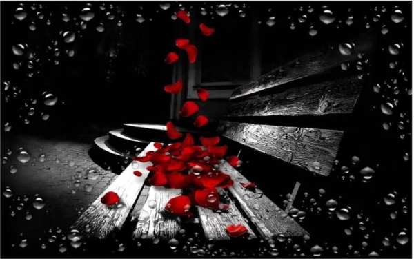 Red Rose Petals Live Wallpaper screenshot 1