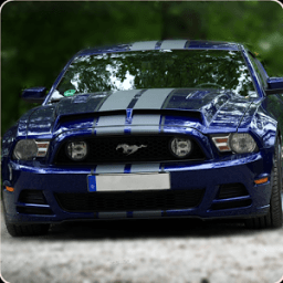 Mustang Sport Cars Wallpapers иконка