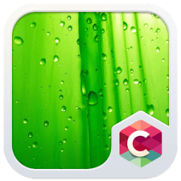 ikon Green Leaf C Launcher Theme