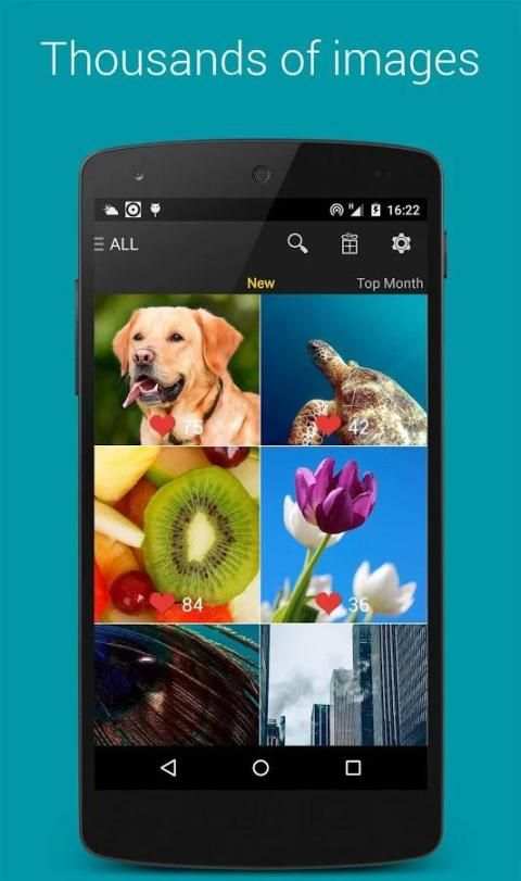 Premium Wallpapers HD screenshot 15