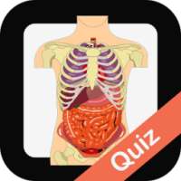 Human Biology Quiz on 9Apps