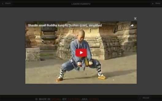 KungFu Videos screenshot 4
