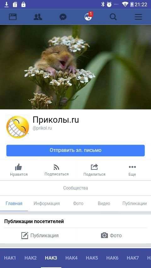 Hak1 F screenshot 2