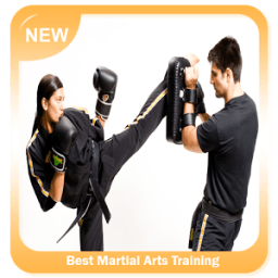 Best Martial Arts Training иконка