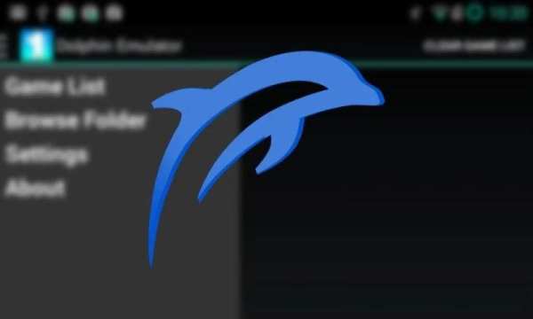 Dolphin Emulator Pro : Tips screenshot 3
