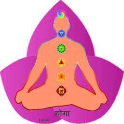 Yoga hindi योगा हिन्दी