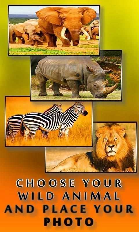 Wild Animal Photo Editor screenshot 1