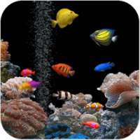 Aquarium Live Wallpaper on 9Apps
