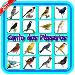 Canto de Pássaros Silvestres icon