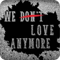 Novel We Don't Love Anymore