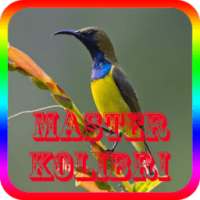 Master Kicau Kolibri Offline on 9Apps