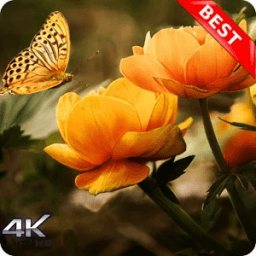 10000+ Nature Wallpapers HD (Offline) أيقونة