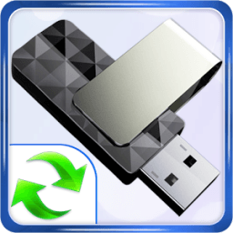 Récupération de données du lecteur USB French Help आइकन