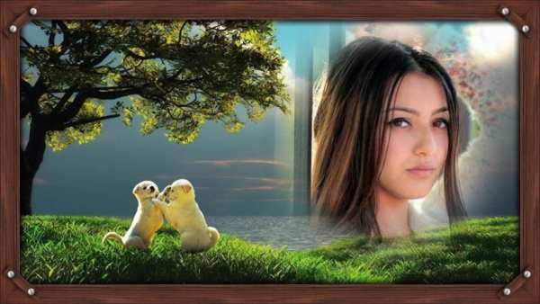 Nature Photo Frames screenshot 4
