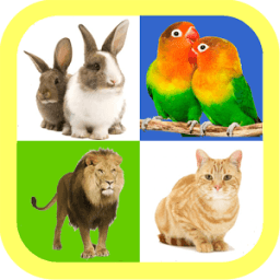 Real animal sound for kids иконка