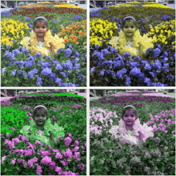 Photo Color Edit иконка
