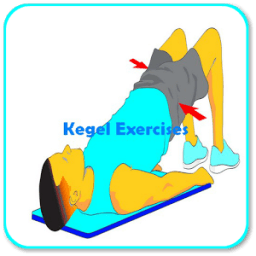 ikon Kegel Exercises for Men